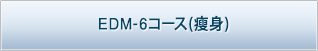 エンダモリフトコース(フェイシャル)