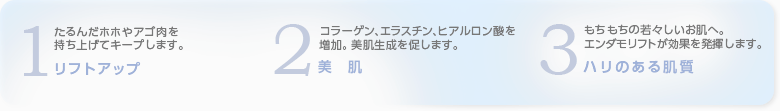 ３つのポイント文章