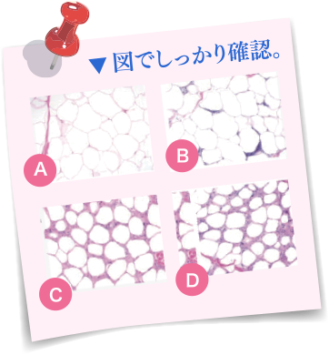 図でしっかり確認