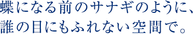 蝶になる前のサナギのように、誰の目にもふれない空間で。